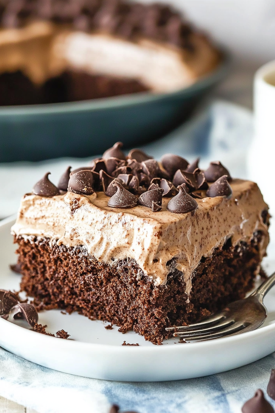 Chocolate Poke Cake Recipe Final Dish Presentation